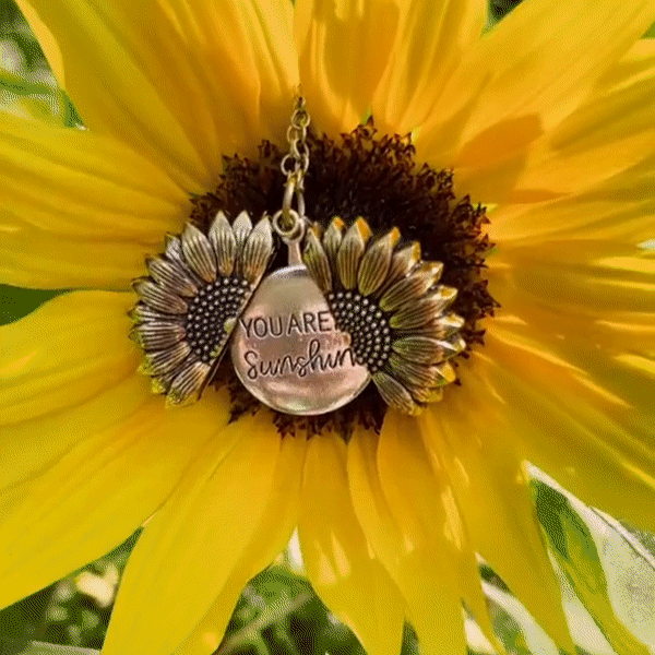 Lanțișor în formă de floare cu mesaj "Ești raza mea de soare"